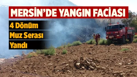 Mersin'de Korkutan Yangın