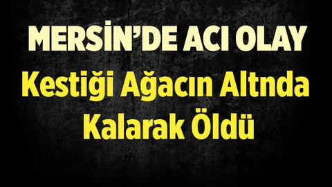 Kestiği Ağacın Altında Kalınca Öldü