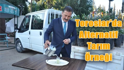 Toroslar'da Alternatif Tarım Örneği