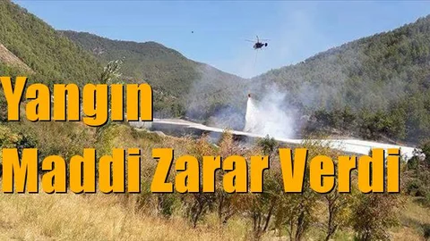 Mersin Bozyazı'da Yangın