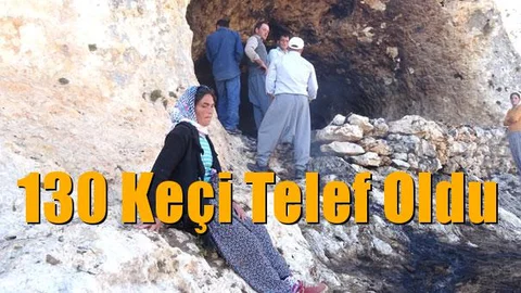 Mersin Gülnar'daki Yangında 130 Keçi Telef Oldu