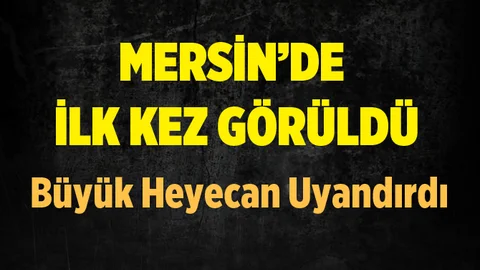 Mersin'de İlk Defa Görüntülendi