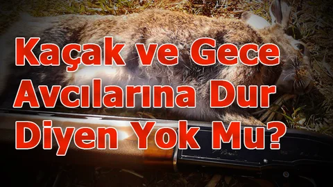 Kaçak ve Gece Avcılarına Dur Diyen Yok Mu?