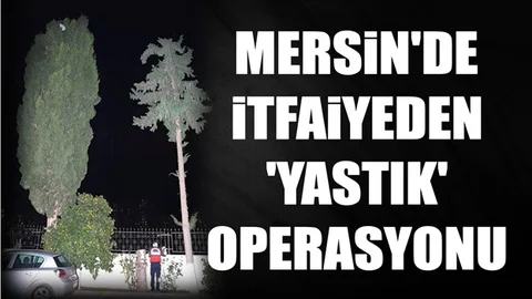 Mersin İtfaiyesi'nden 'Yastık' Operasyonu