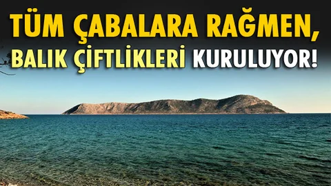 Çevrecilerin Tüm Çabalarına Rağmen, Mersin'de Balık Çiftlikleri Kuruluyor
