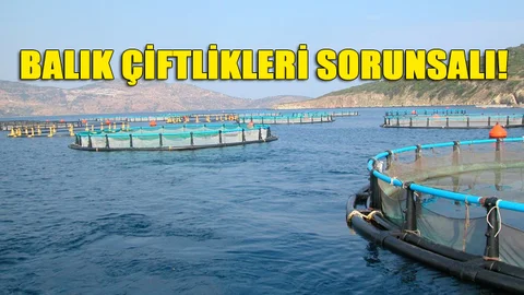 Mersin'de Balık Çiftlikleri Sorunsalı Devam Ediyor!