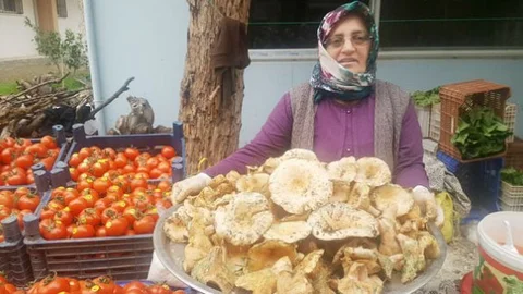 Silifke'de Mantar Köylülerin Geçim Kaynağı Oldu