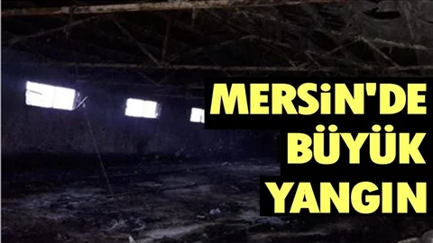 Mersin'de Yangın Bir İşletmeyi Yok Etti