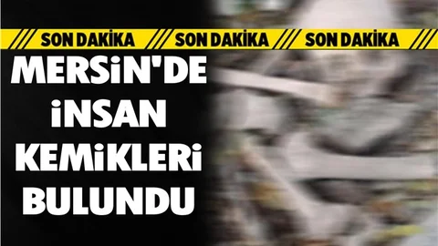 Mersin'de Bir İnsana Ait Kemikler Bulundu