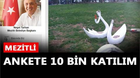 Mezitli Anketine 10 Bin Katılım, Mezitli'de Aksayan ve Memnun Olunan Hizmetler