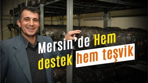 Mersin'de Hem Destek, Hem Teşvik ile Umutlar Sürdürülüyor