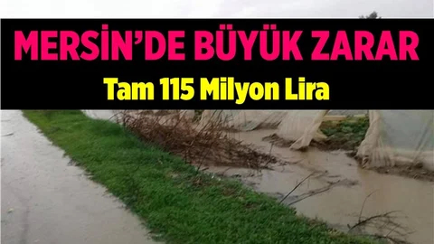 Mersin'in Zararı Çok Büyük