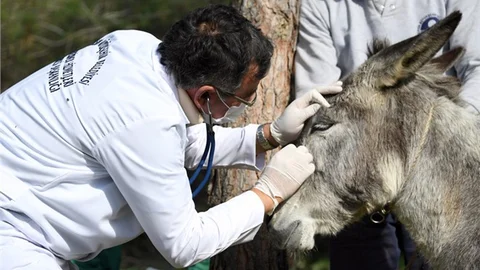 Mersin’in Bir Ucundan Bir Ucuna Kurtarma Mücadelesi
