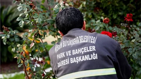 Mersin’de Çiçekler Kışın Da Solmuyor