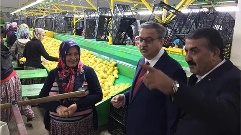 Vali Ali İhsan Su Narenciye Paketleme Tesisinde İncelemelerde Bulundu