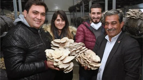 6 Ton Verim Yapıyor Ciddi Gelir Sağlanıyor