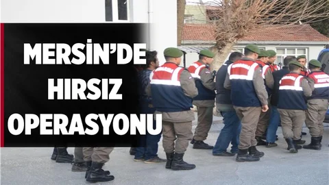 Mersin'de Hayvan Hırsızlarına Operasyon