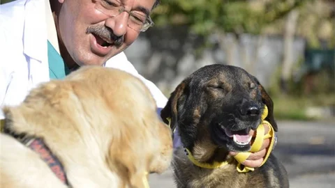 Ateş ve RüzgÂr’ın Kurtarılma HikÂyesi