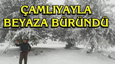 Mersin Çamlıyayla'da Kar Yağışı Etkisini Gösterdi, Çamlıyayla Beyaza Büründü