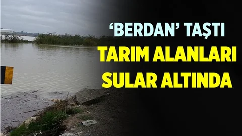 Mersin'de Tarım Alanları Sular Altında