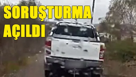 Mersin'de Köpeği İple Bağlayıp Sürüyerek Öldüren, Öğretmene Soruşturma Açıldı