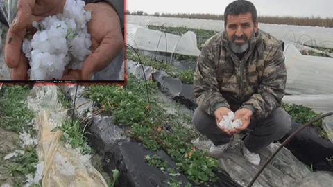 Silifke’de Dolu, Sera ve Bahçelere Zarar Verdi