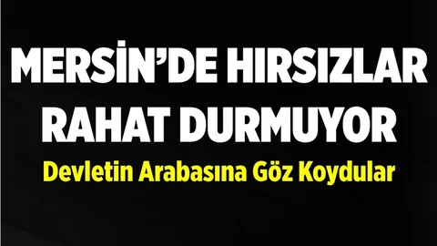 Mersin'de Hırsızlar Devletin Malına Göz Dikti