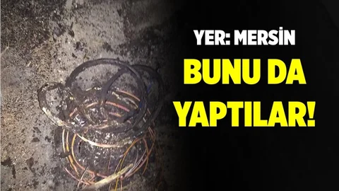 Mersin'de Sinir Bozan Olay