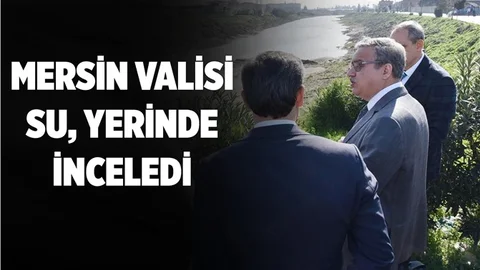 Vali Ali İhsan Su Yerinde İnceledi