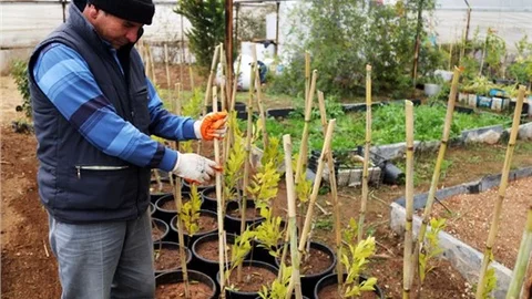 Erdemli Belediyesi İhtiyacını Üretimle Karşılıyor