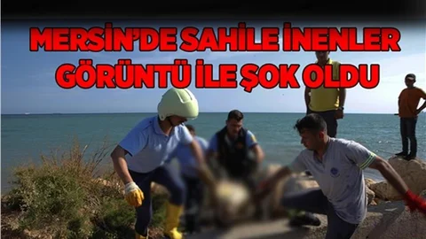 Sahilde Görenleri Üzen Görüntü