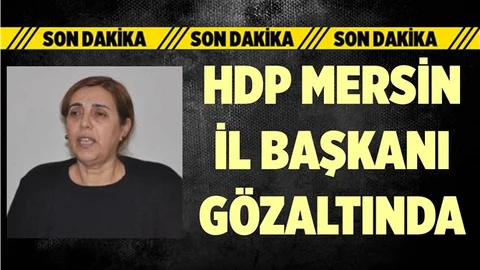 HDP Mersin İl Eşbaşkanı Gözaltına Alındı
