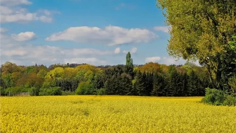 2B Arazileri İçin Son Başvuru Süresi 7 Mart
