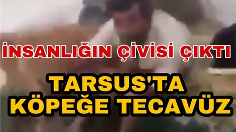 Mersin'de İğrenç Olay 