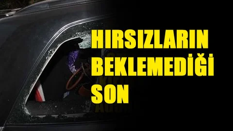 Park Halindeki Araçtan Hırsızlık Yapanların Beklemediği Son