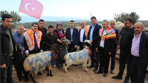 Mersinli Yörüklerden Mehmetçiğe Kurban