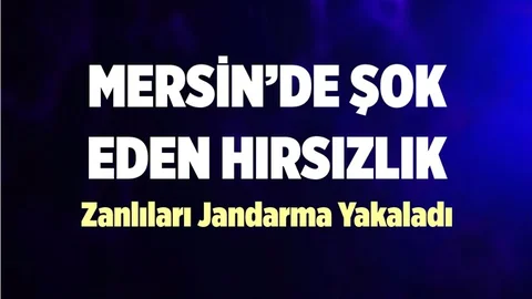 Mersin'deki Hırsızlık Olayları Pes Dedirtti