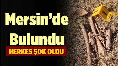 Mersin'de Kaybolan Şahısın Kemikleri Bulundu