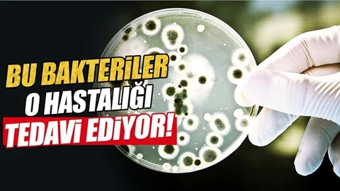 İşte İnsan Vücuduna Faydalı Sağlık Dostu 'Bakteriler'