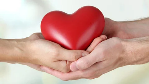 Organları 3 Hastaya Umut Oldu