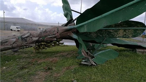 Anamur'da Fırtına Etkili Oldu