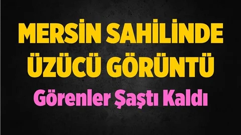 Mersin Sahilinde Üzen Görüntü