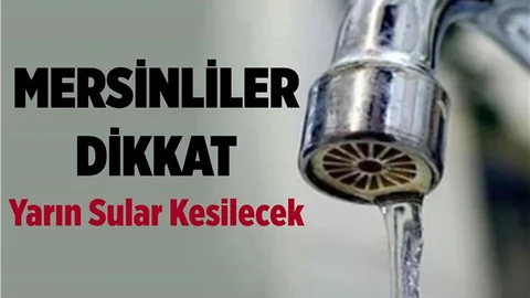 Mersinliler Yarına Dikkat