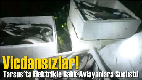 Tarsus'ta Elektrikle Balık Avlayanlara Suçüstü