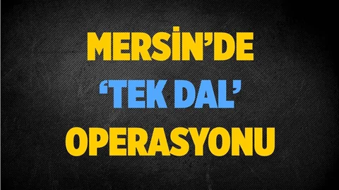 Mersin'de 'Tek Dal' Operasyonu