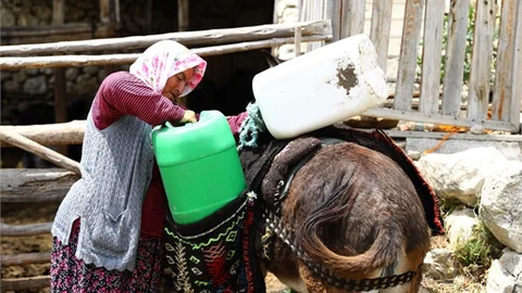 Bir Damla Suyun 100 Yıllık Mücadelesi