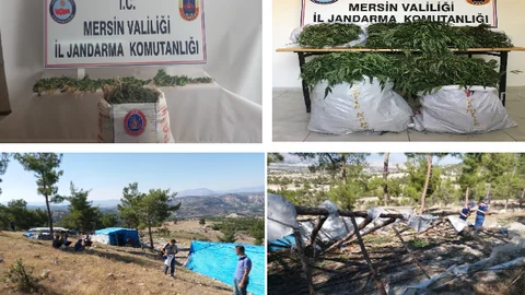 Mersin, Tarsus ve Mut'ta Jandarmadan Uyuşturucu Operasyonu