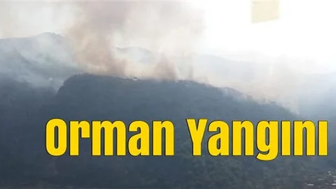 Mersin’de Orman Yangını, Henüz Sebebi Bilinmeyen Yangına Müdahale Edildi