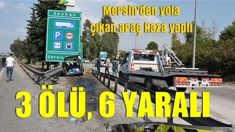 Araç Yol Kenarındaki Levhaya Çarptı : 3 Ölü, 6 Yaralı