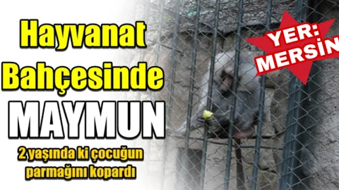 Mersin'de Kan Donduran Olay